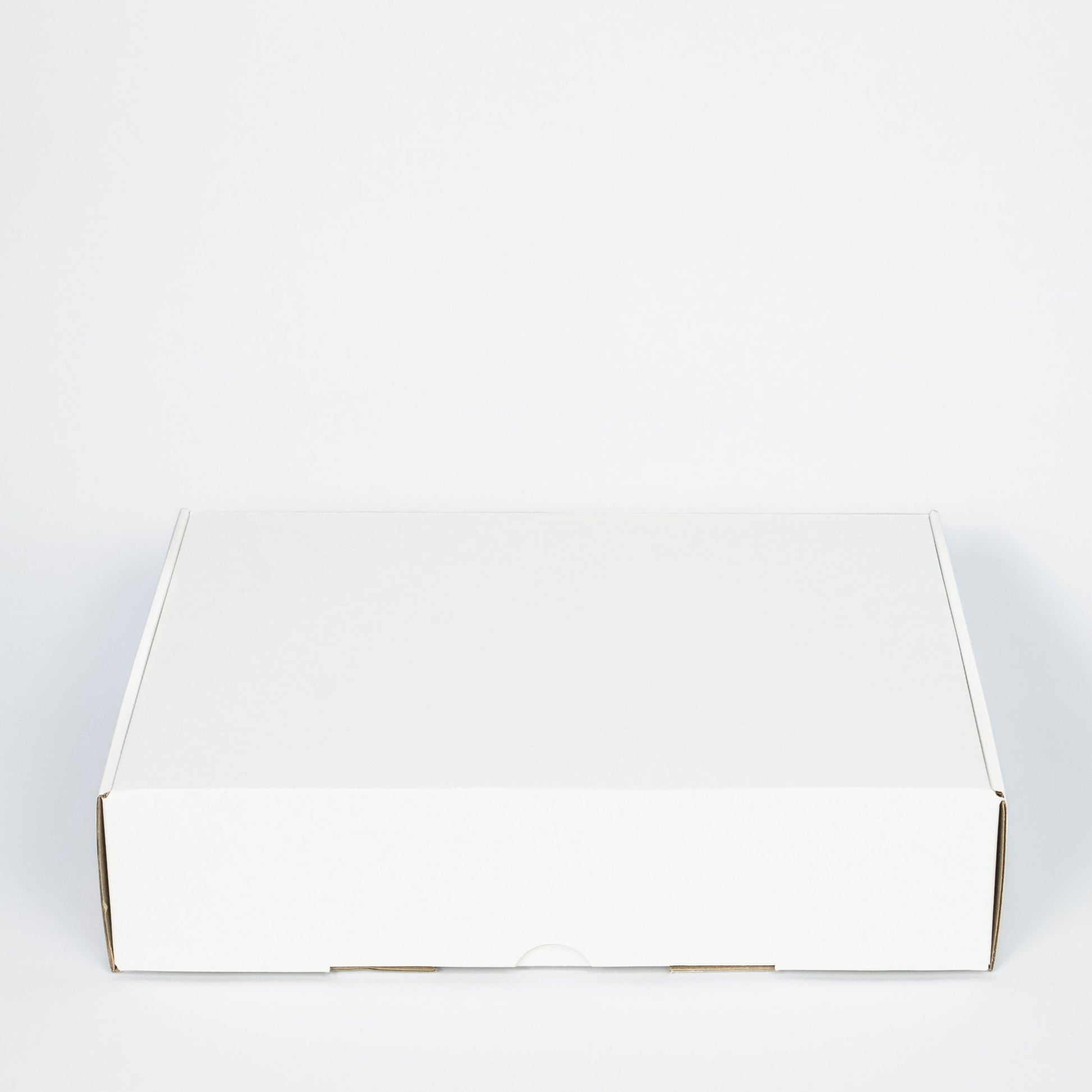Large Shipper Mailer Box (Pack of 25)