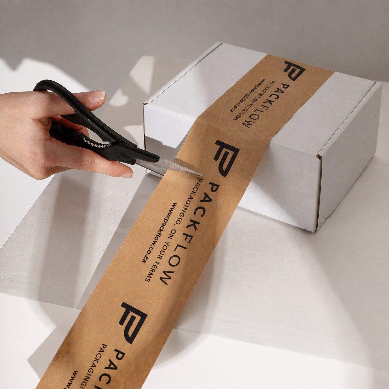 Small Shipper Mailer Box (Pack of 25)